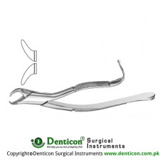 American Pattern Tooth Extracting Forcep Fig. 16 (For Lower Molars) Stainless Steel, Standard